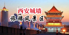 想要鸡巴操逼中国陕西-西安城墙旅游风景区